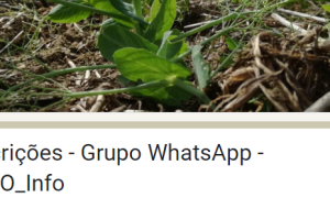 Sector agroflorestal nacional assinala Dia Mundial do Solo com a criação de um Grupo de WhatsApp denominado "Info SOLO"