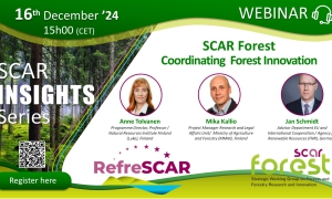 INSIGHTS Series - SCAR Forest Coordinating Forest Innovation