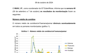 38ª Informação do GT Estenfiliose 2024