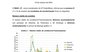 39ª Informação do GT Estenfiliose 2024