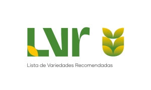 A LVR do Trigo Duro e do Trigo Mole para a campanha agrícola de 2024/2025 já se encontra disponível