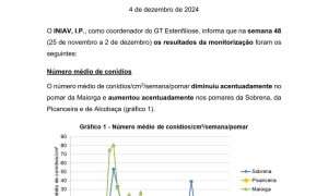 46ª Informação do GT Estenfiliose 2024