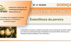 Boletim técnico atualizado sobre Estenfiliose da pereira (BT nº. 03/2024)