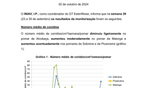 37ª Informação do GT Estenfiliose 2024