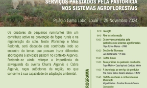 Workshop/Mesa Redonda "Serviços Prestados pela Pastorícia nos Sistemas Agroflorestais"