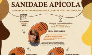 Workshop em Sanidade Apícola