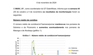 42ª Informação do GT Estenfiliose 2024