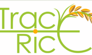 TRACE-RICE Conference / Conferência TRACE-RICE