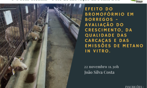 Palestra "Efeito do Bromofórmio em borregos – Avaliação do crescimento, da qualidade das carcaças e das emissões de metano in vitro"