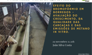 Palestra "Efeito do Bromofórmio em borregos – Avaliação do crescimento, da qualidade das carcaças e das emissões de metano in vitro" - NOVA DATA