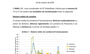 40ª Informação do GT Estenfiliose 2024