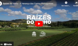 Episódio 1 - A Parceria que Cultiva o Futuro | Série Raízes do Vinho