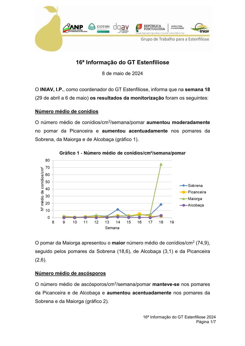 16ª Informação do GT Estenfiliose 2024