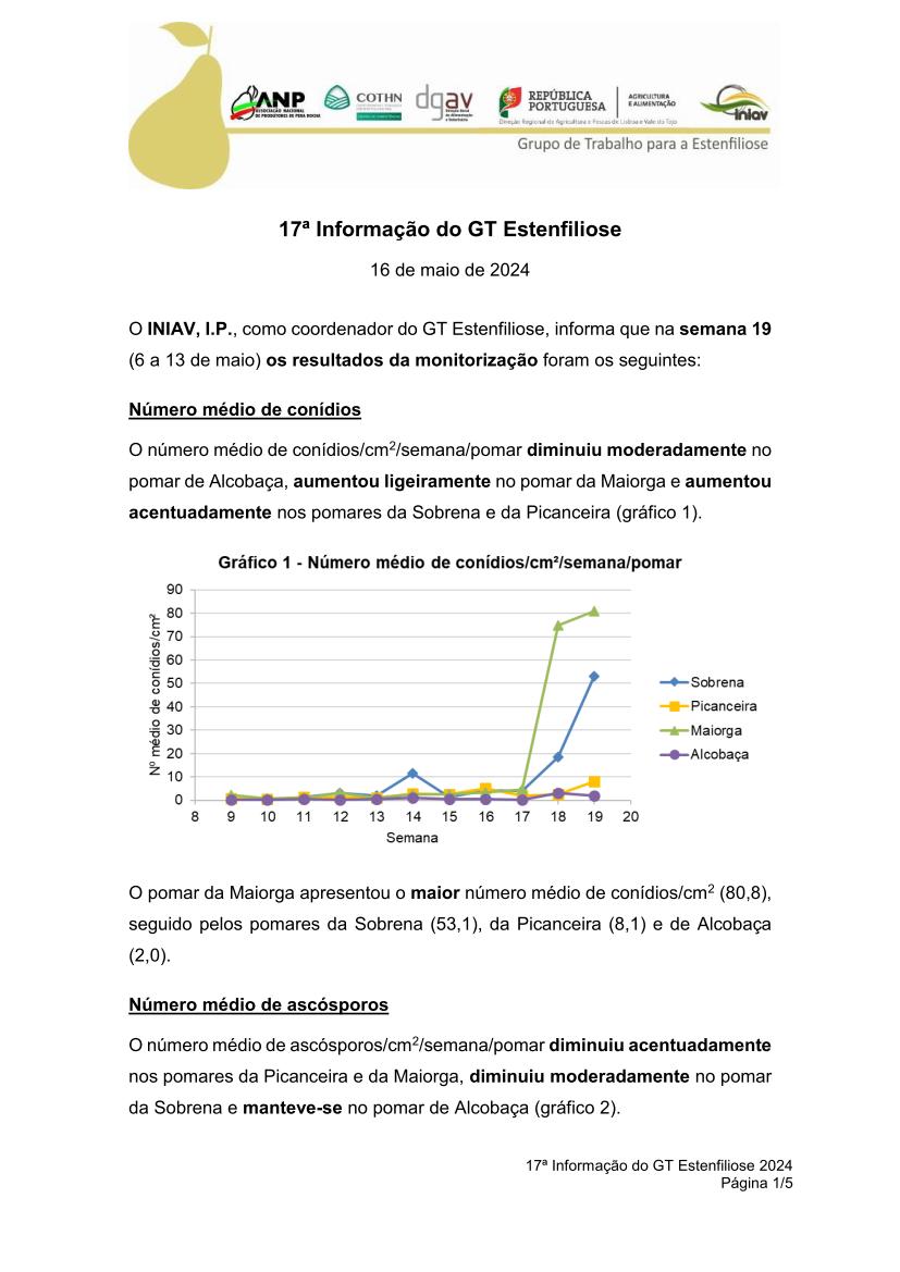 17ª Informação do GT Estenfiliose 2024