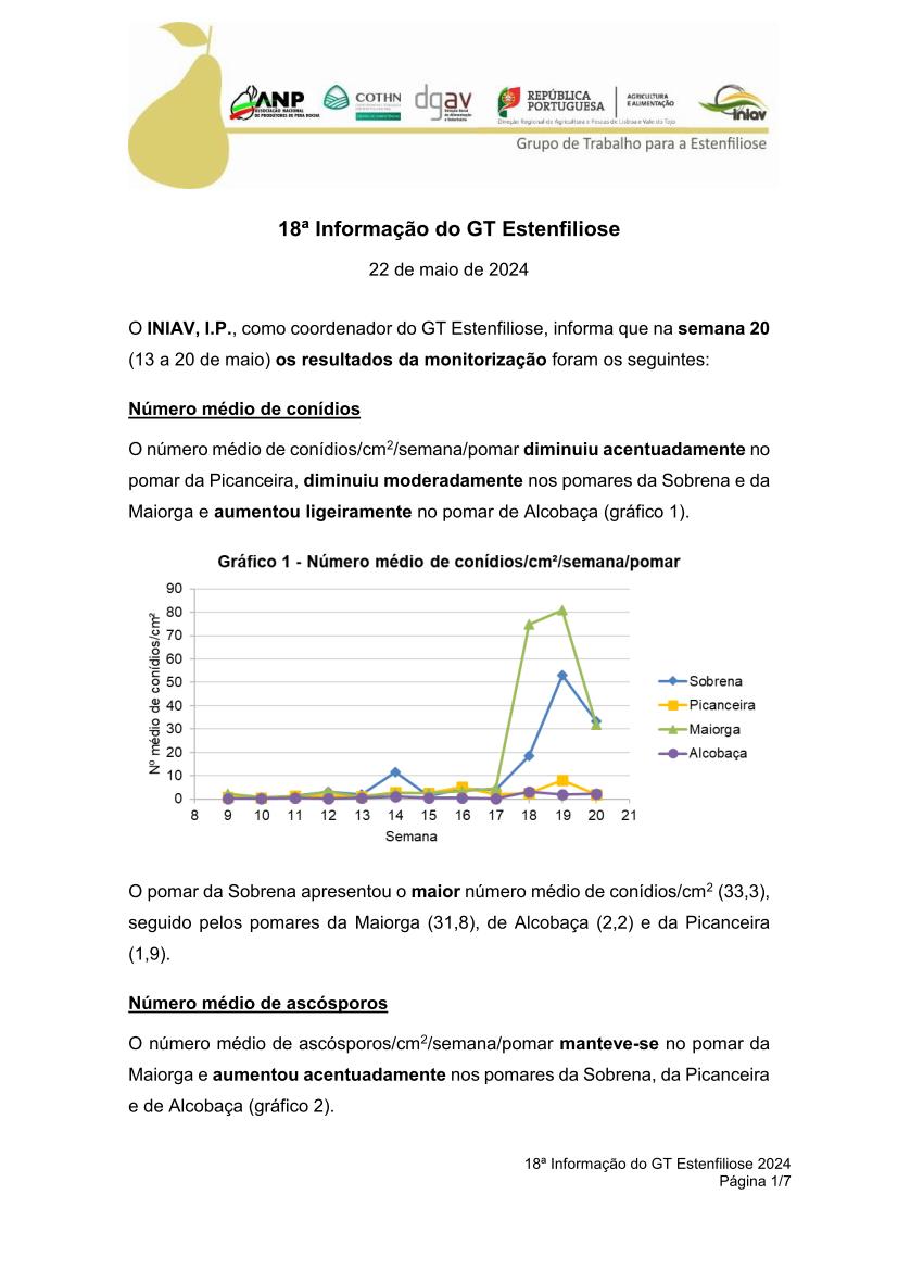 18ª Informação do GT Estenfiliose 2024