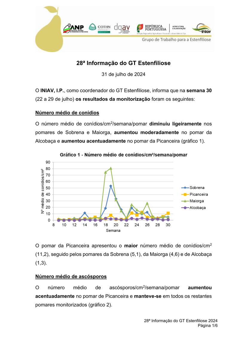 28ª Informação do GT Estenfiliose 2024