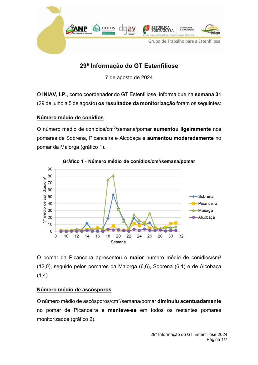 29ª Informação do GT Estenfiliose 2024