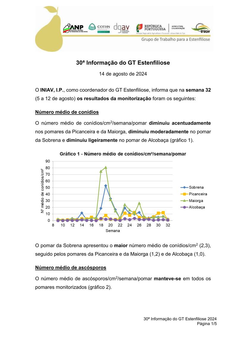 30ª Informação do GT Estenfiliose 2024