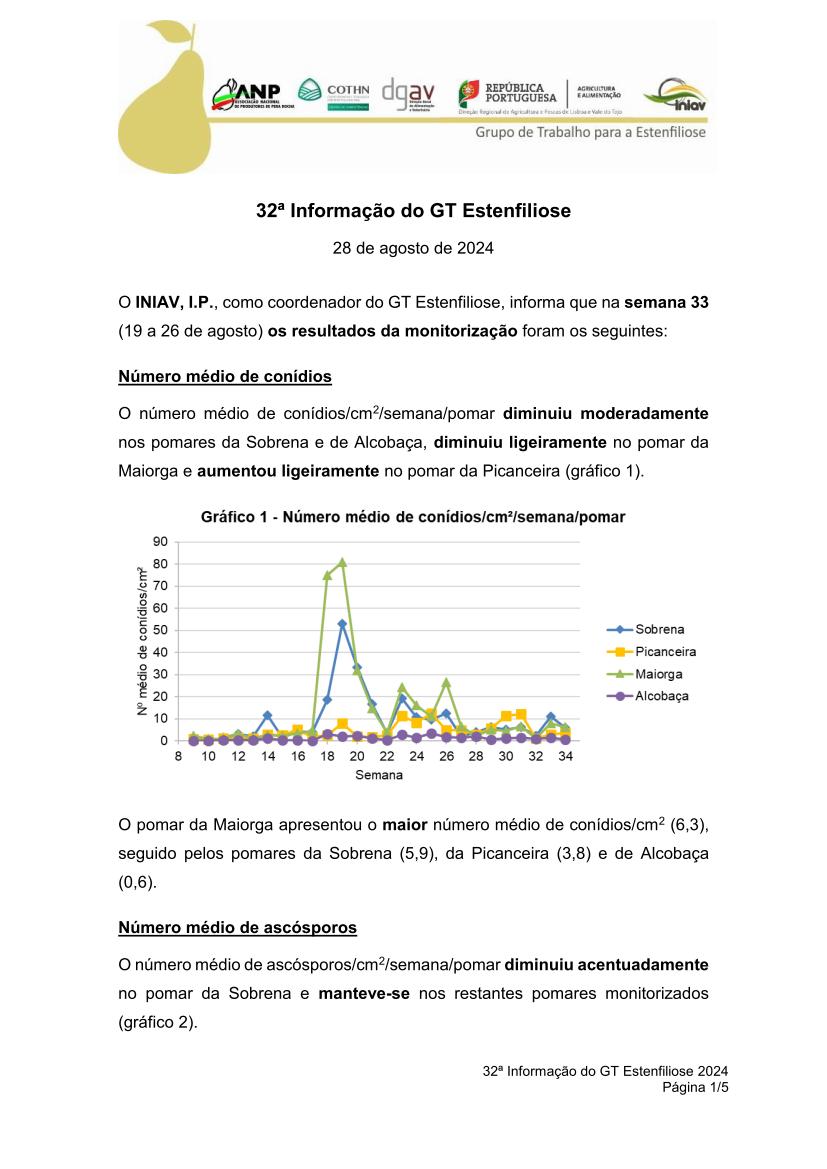 32ª Informação do GT Estenfiliose 2024