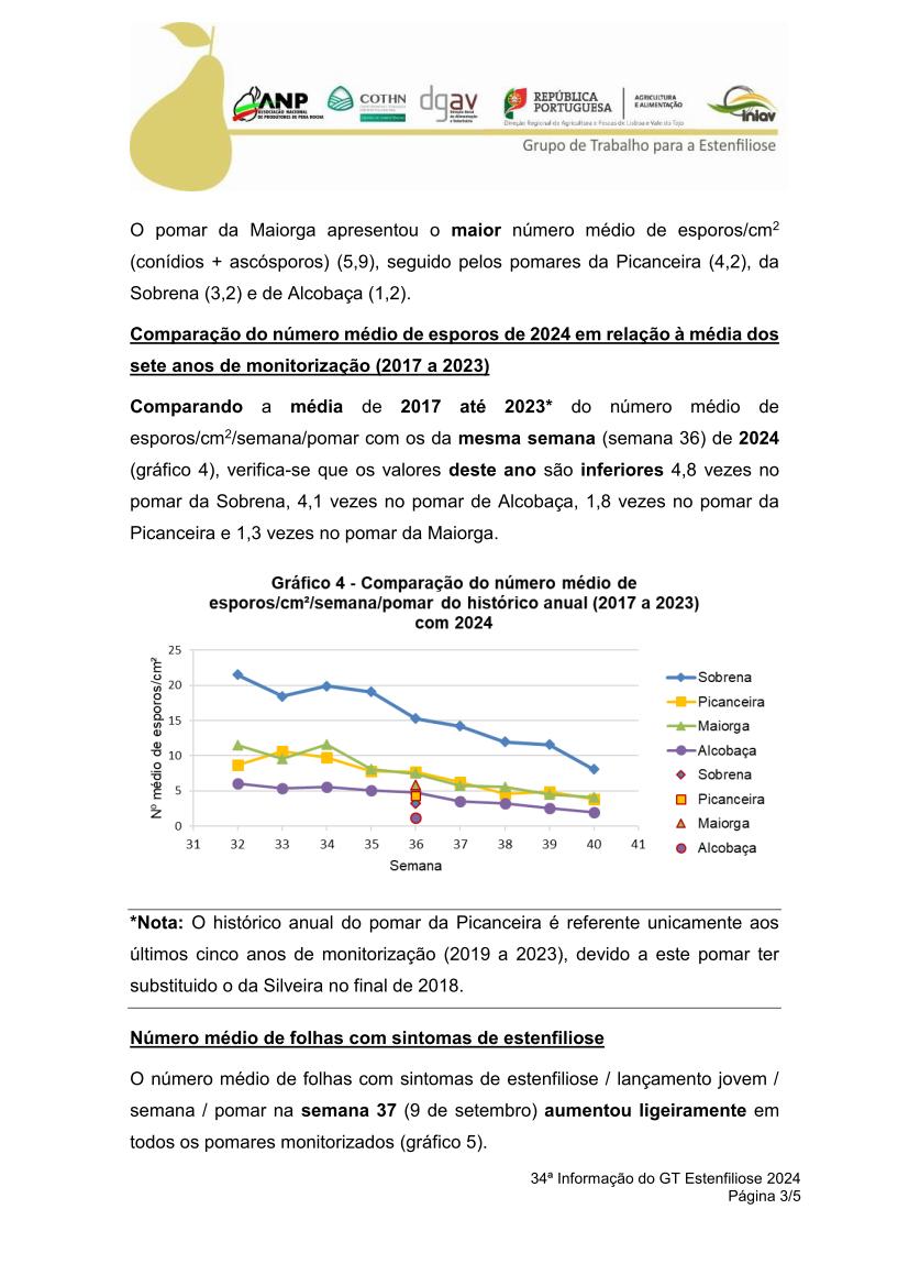 34ª Informação do GT Estenfiliose 2024