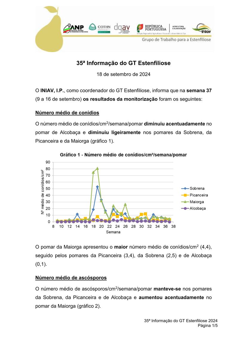 35ª Informação do GT Estenfiliose 2024