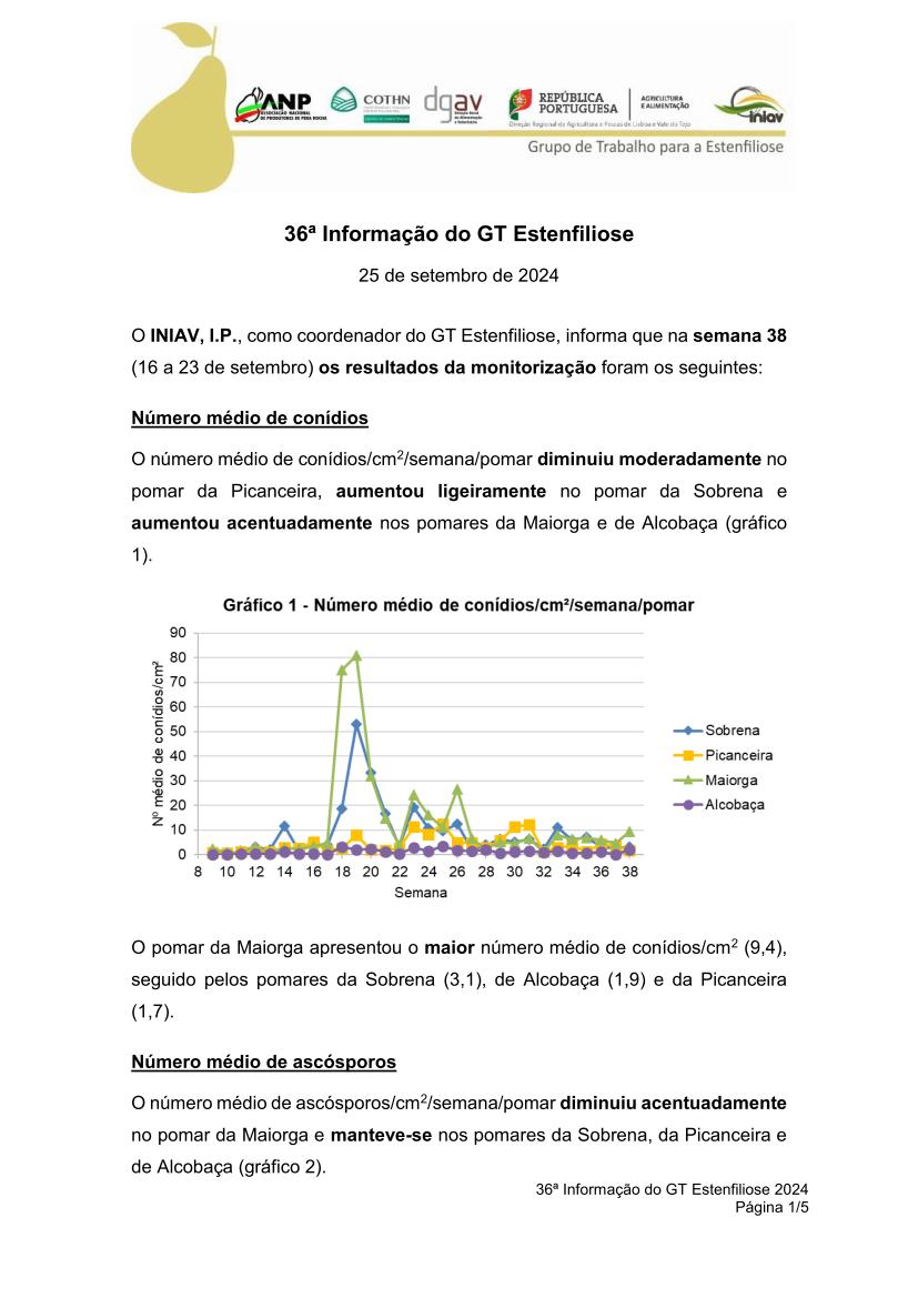 36ª Informação do GT Estenfiliose 2024