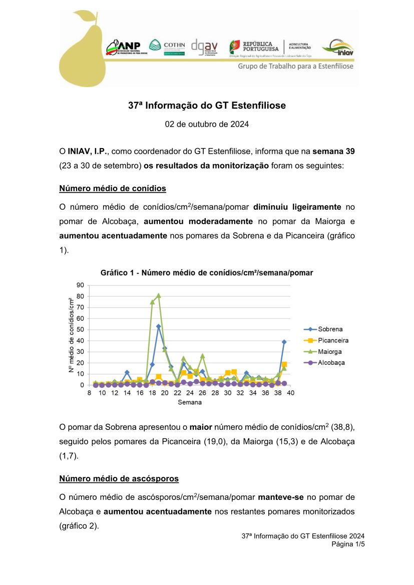 37ª Informação do GT Estenfiliose 2024