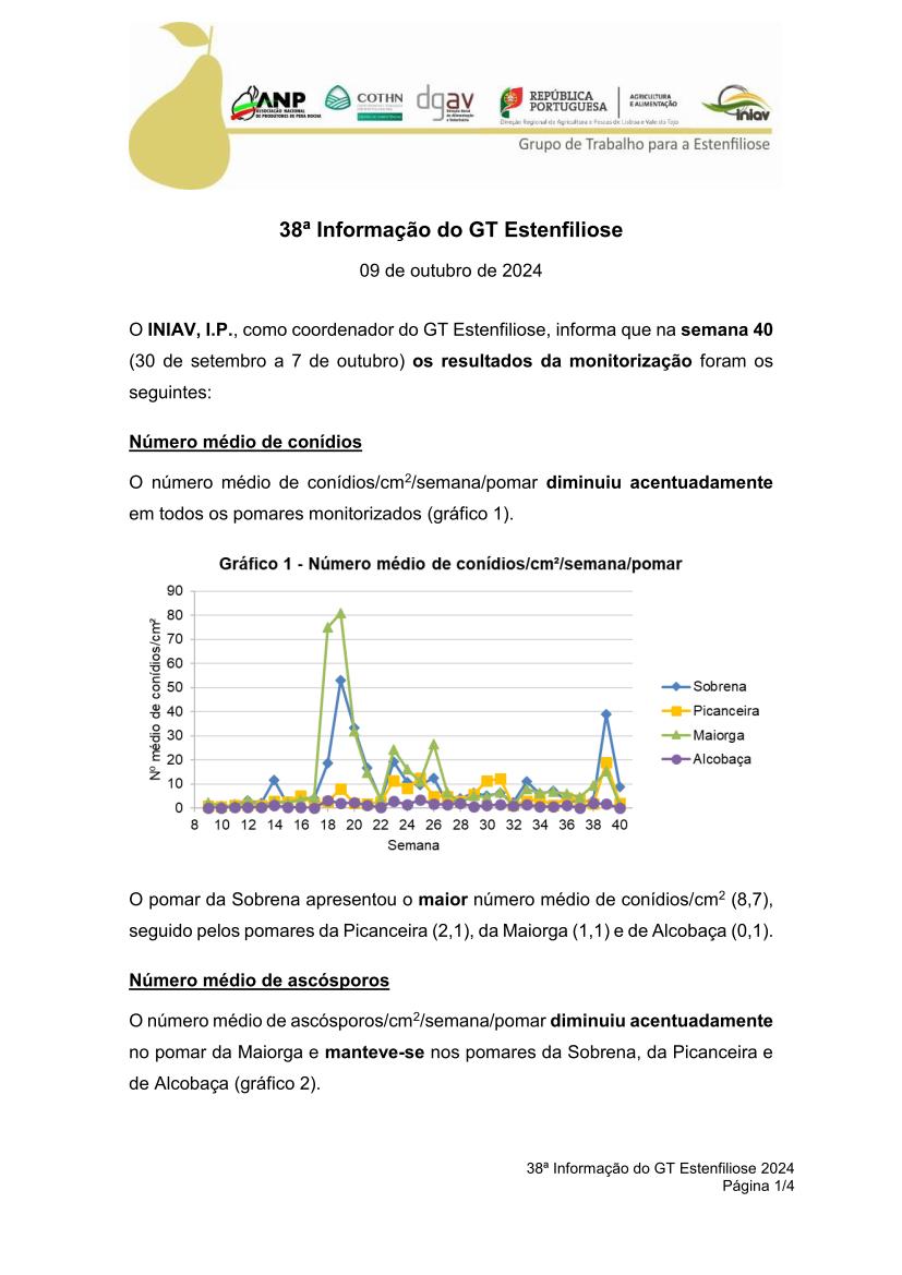 38ª Informação do GT Estenfiliose 2024