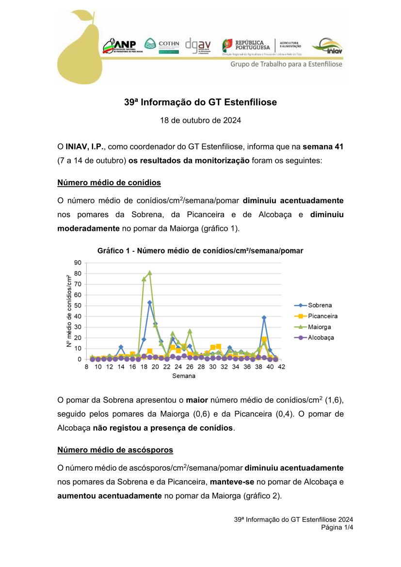 39ª Informação do GT Estenfiliose 2024