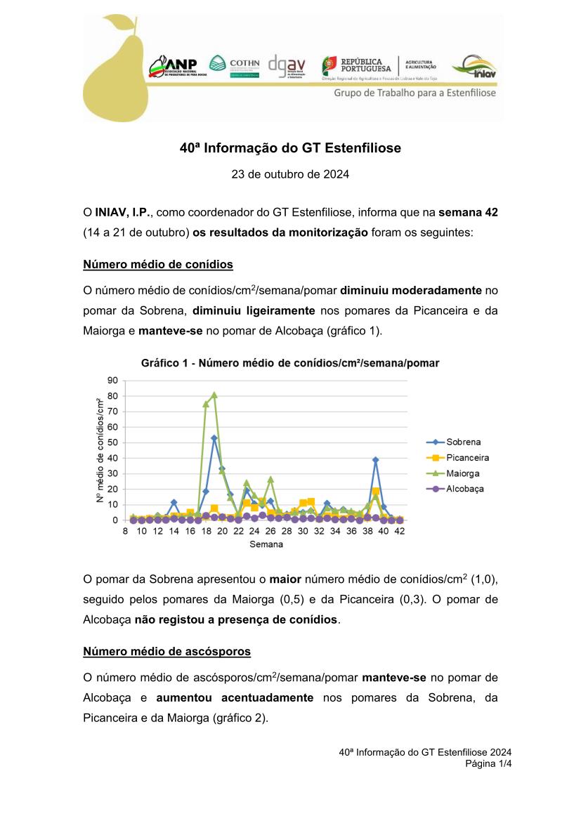 40ª Informação do GT Estenfiliose 2024