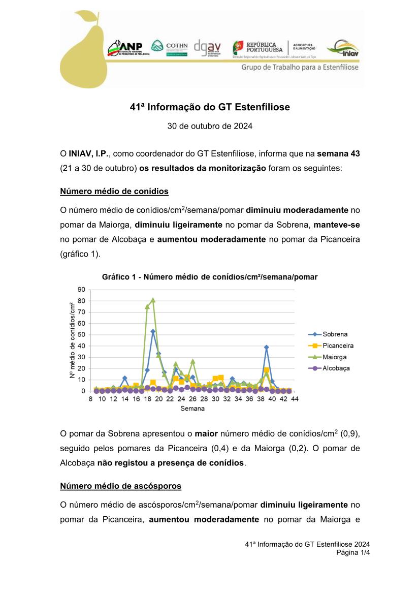 41ª Informação do GT Estenfiliose 2024