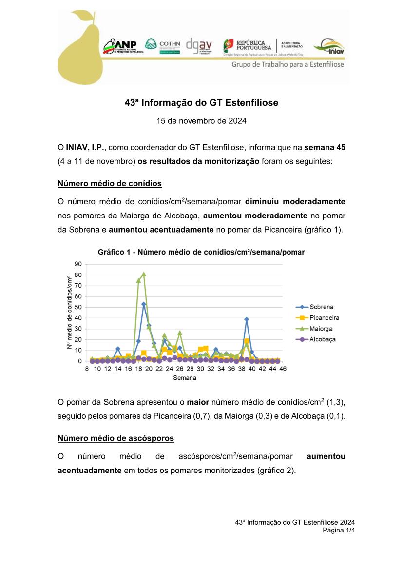 43ª Informação do GT Estenfiliose 2024