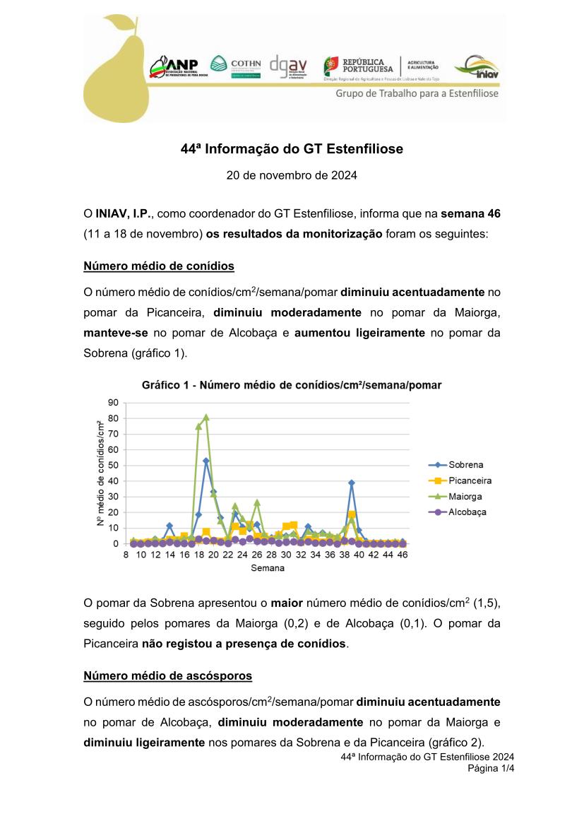 44ª Informação do GT Estenfiliose 2024