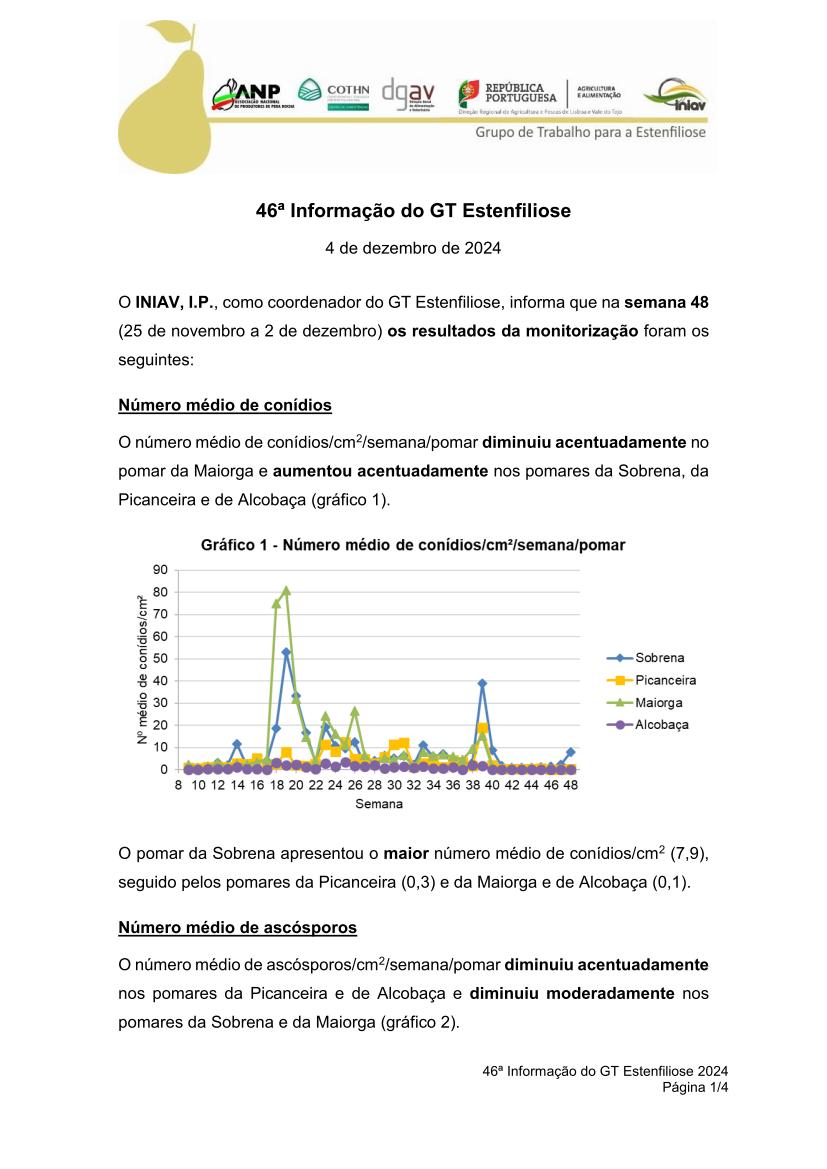 46ª Informação do GT Estenfiliose 2024