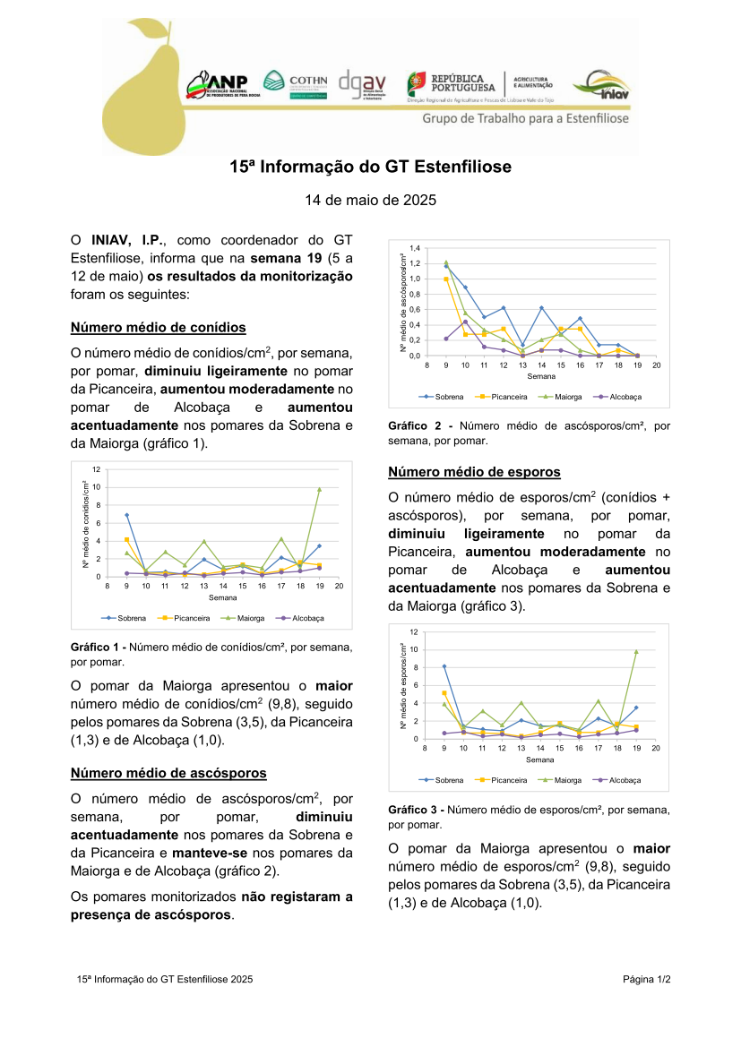 15ª Informação do GT Estenfiliose 2025