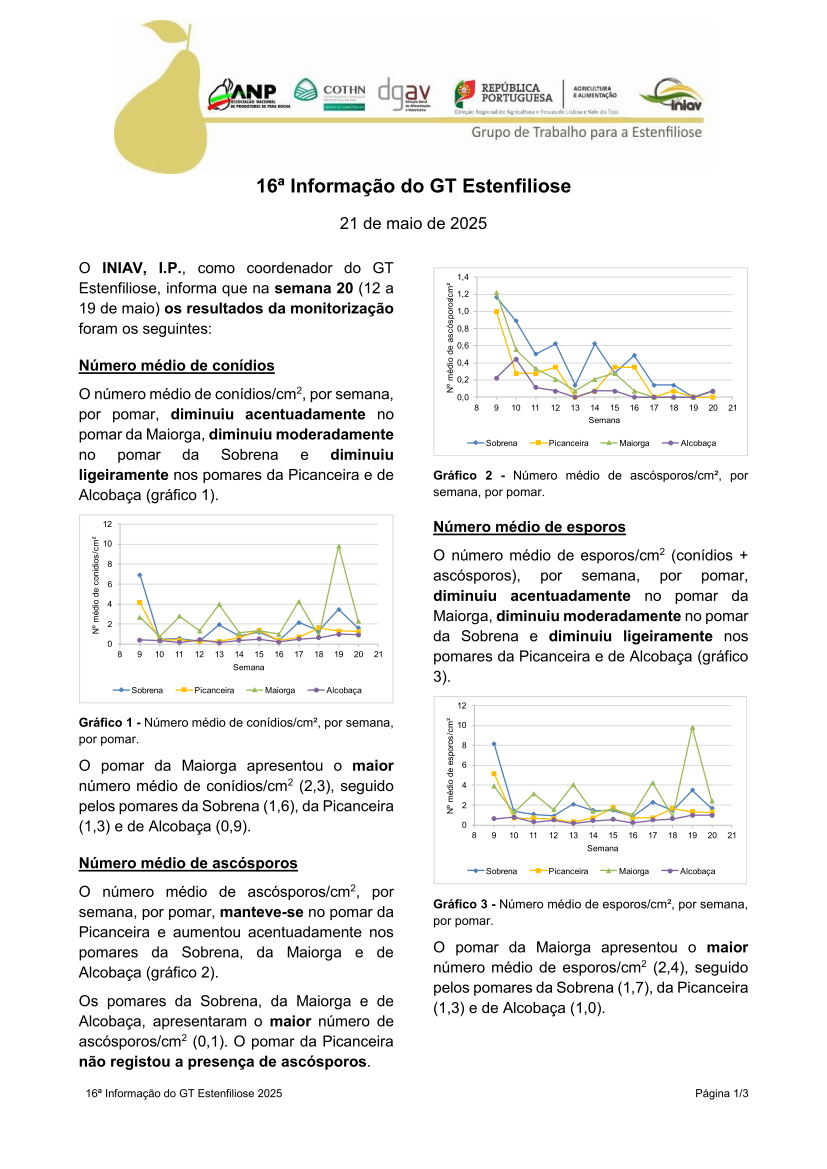 16ª Informação do GT Estenfiliose 2025 16ª Informação do GT Estenfiliose 2025