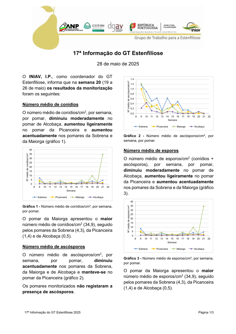 17ª Informação do GT Estenfiliose 2025