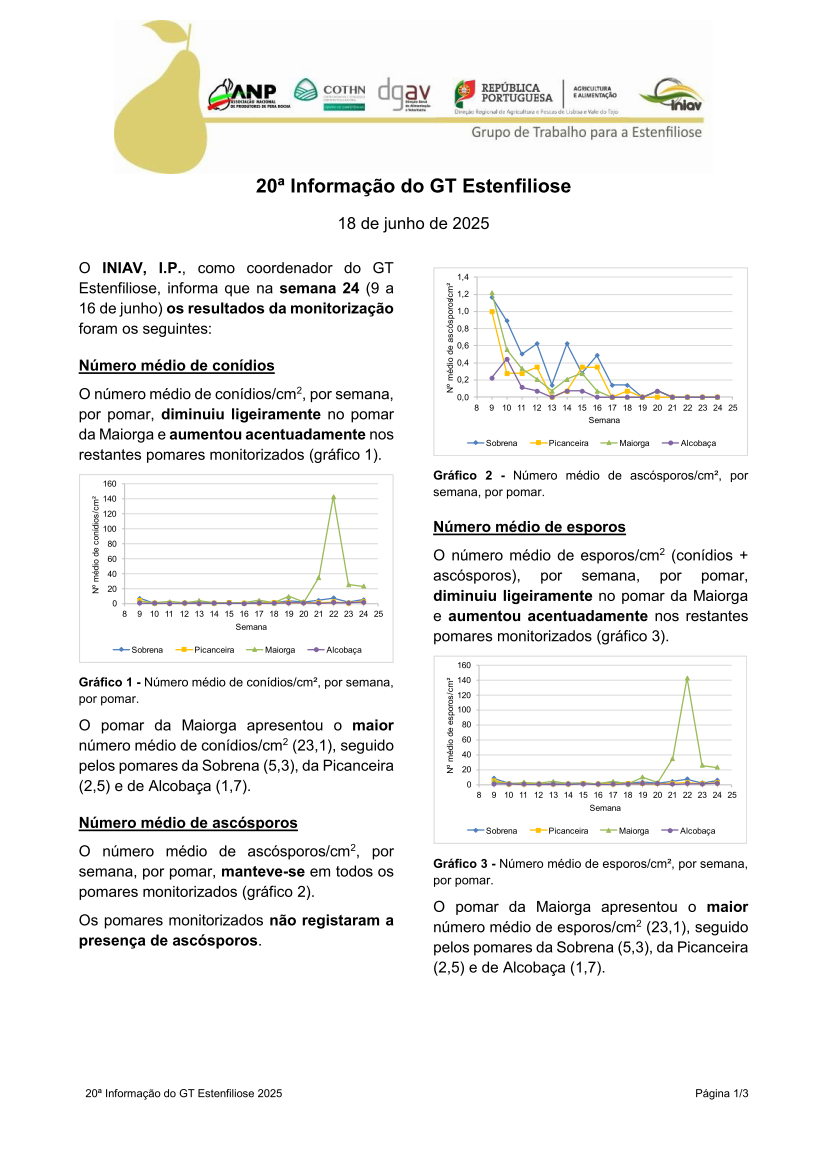 20ª Informação do GT Estenfiliose 2025