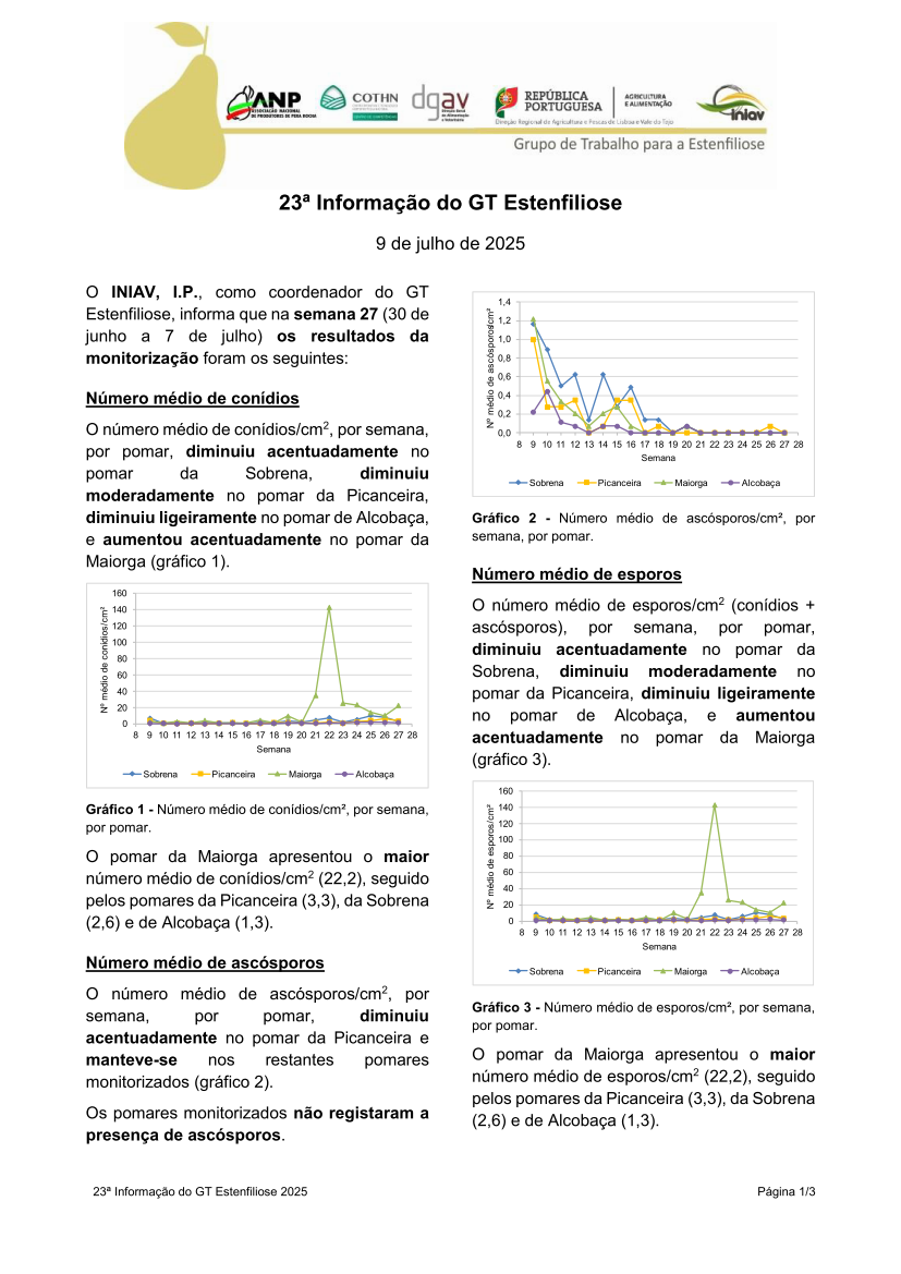 23ª Informação do GT Estenfiliose 2025