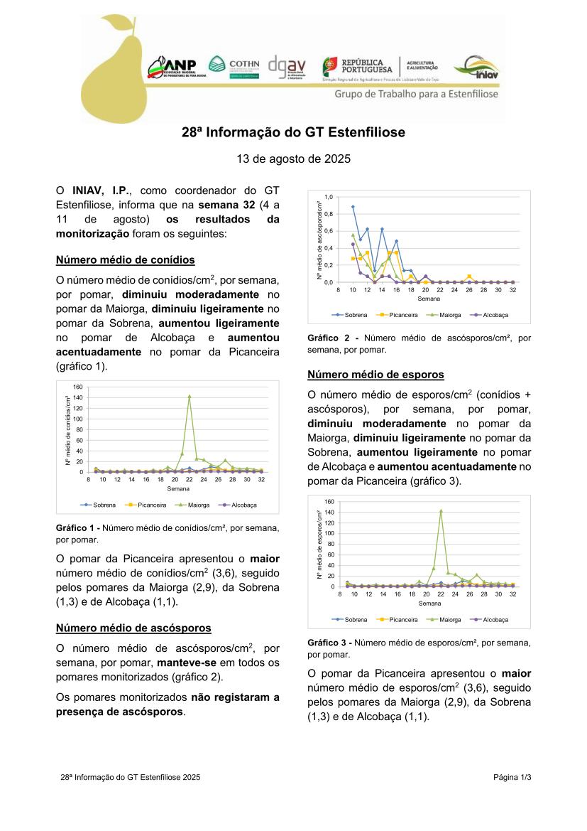 28ª Informação do GT Estenfiliose 2025 28ª Informação do GT Estenfiliose 2025