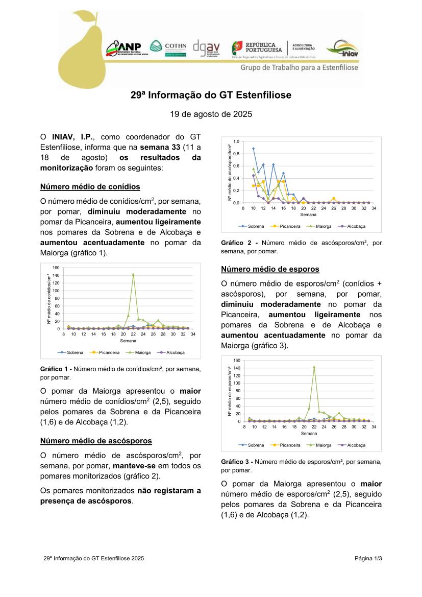 29ª Informação do GT Estenfiliose 2025