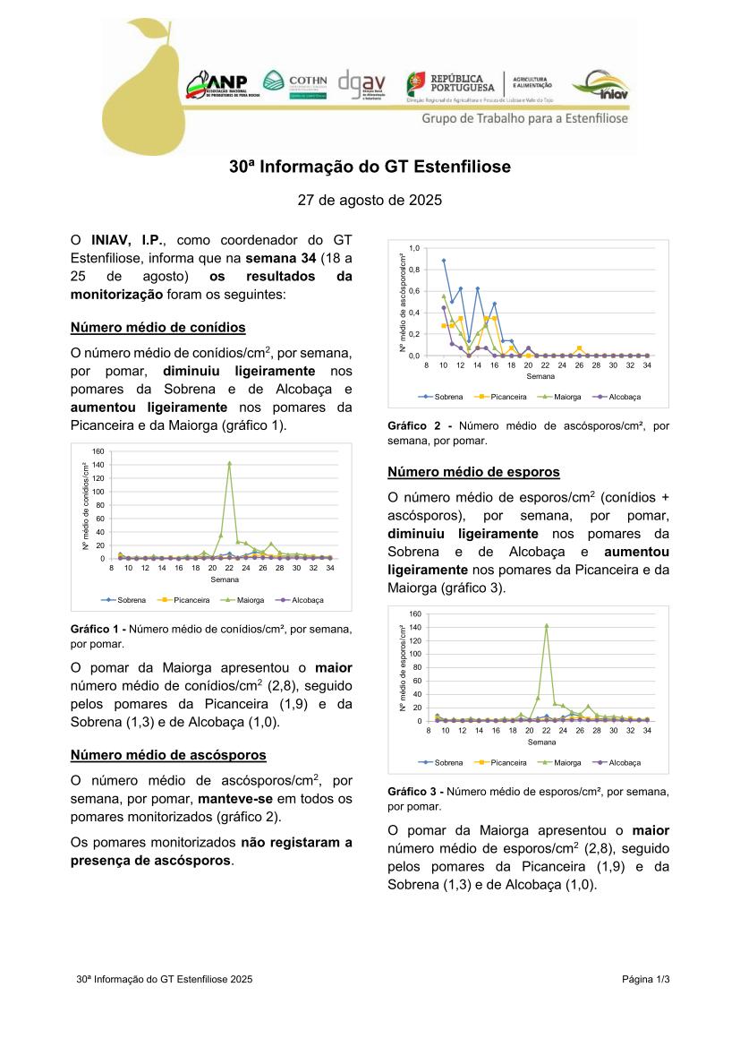 30ª Informação do GT Estenfiliose 2025