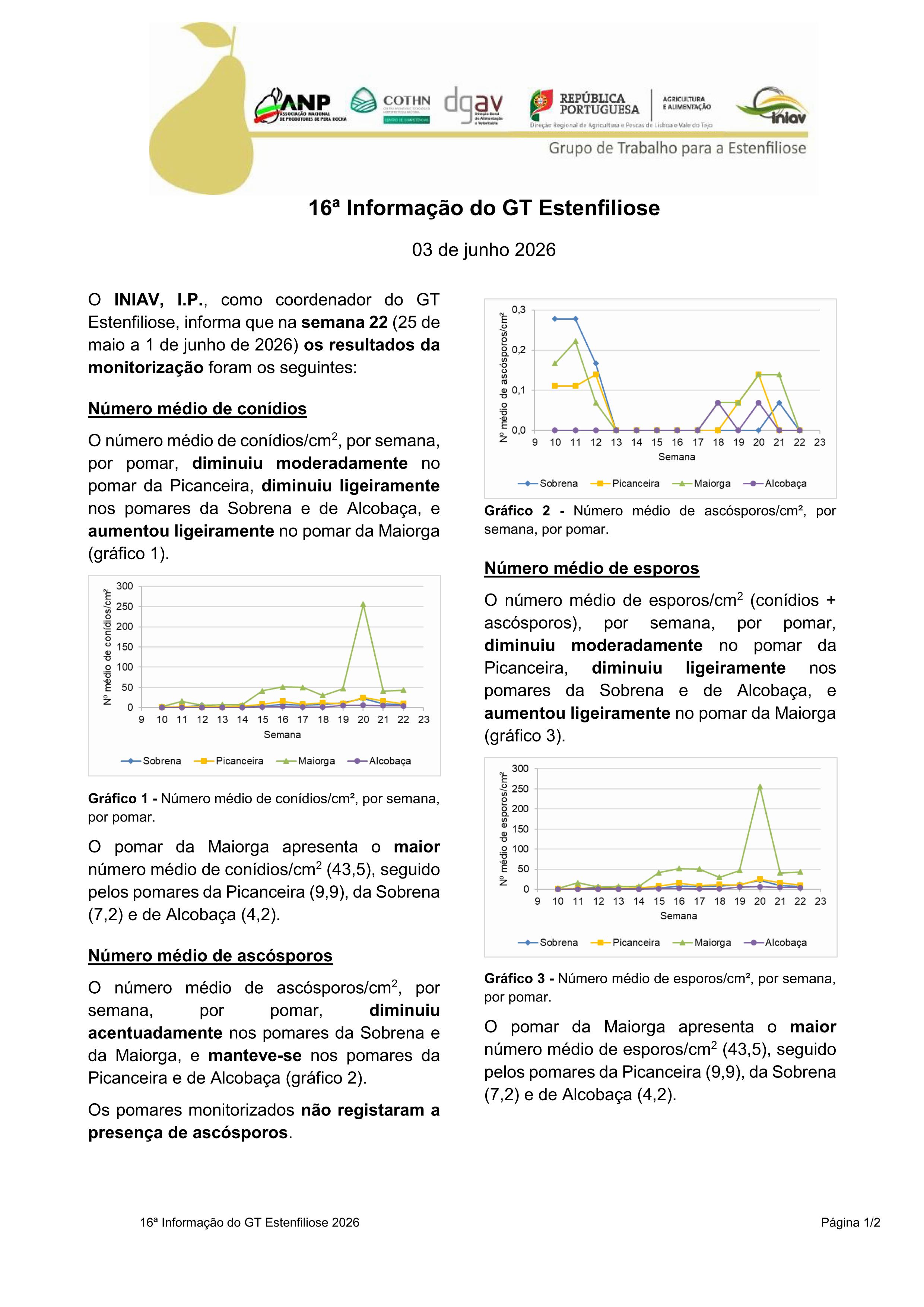 16ª Informação do GT Estenfiliose 2026
