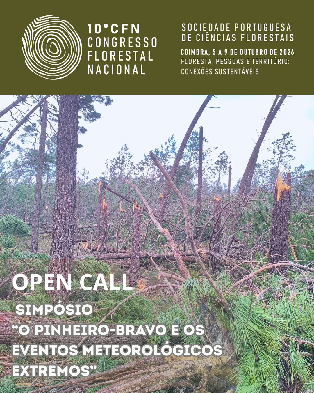 10 Congresso Florestal Nacional