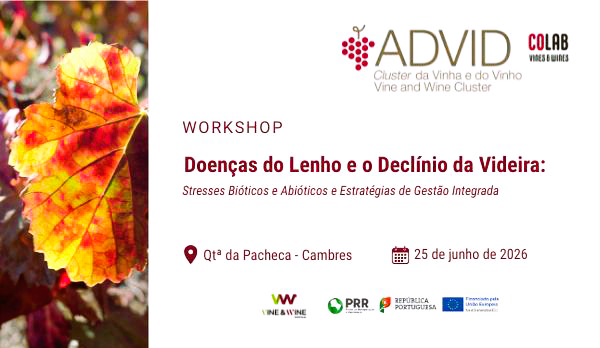 Doenças do Lenho e o Declínio da Videira