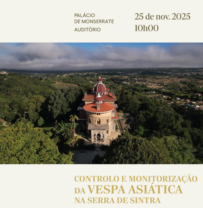 Controlo e Monitorização da Vespa Asiática na Serra de Sintra Controlo e Monitorização da Vespa Asiática na Serra de Sintra