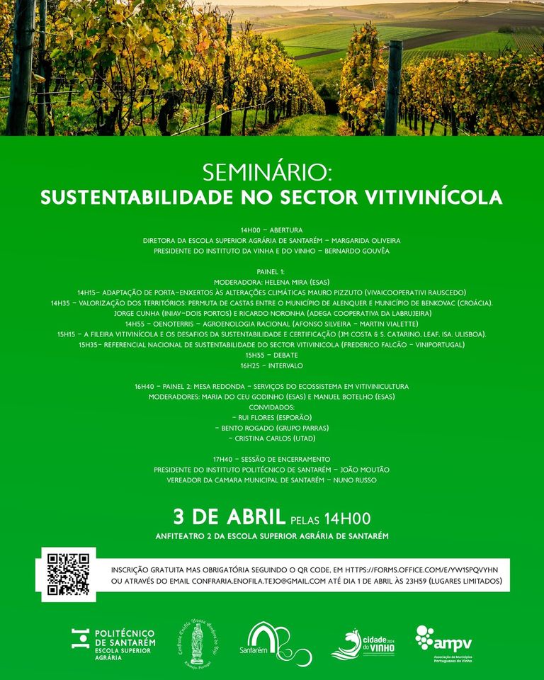 A Sustentabilidade no Sector Vitivinicola