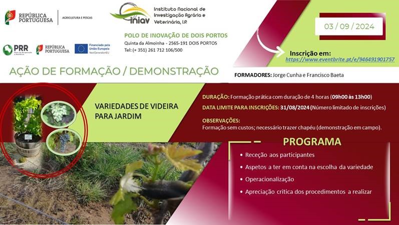 Acao de Formacao Demonstracao Variedades de videira para jardim