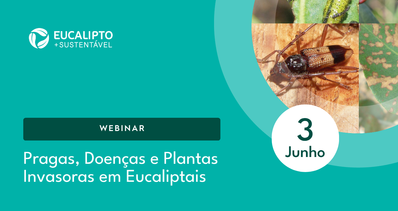 Webinar "Pragas, Doenças e Plantas invasoras em Eucaliptais"