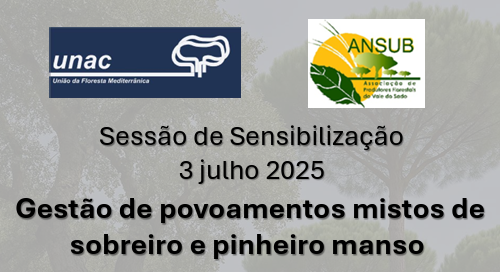 Gestão de povoamentos mistos de sobreiro e pinheiro manso